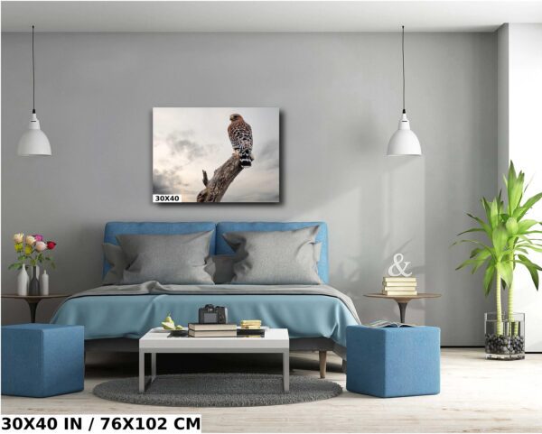 A bedroom with a bed and two blue ottomans