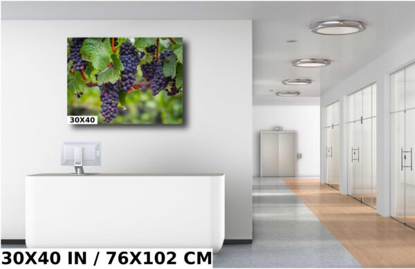 A picture of some grapes hanging on the wall