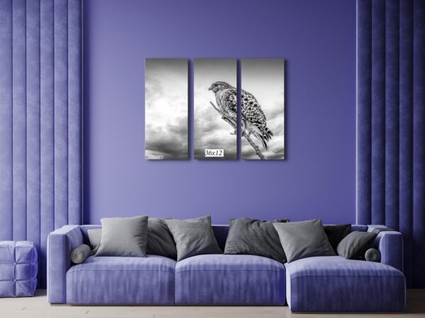 A black and white photo of a bird on the wall