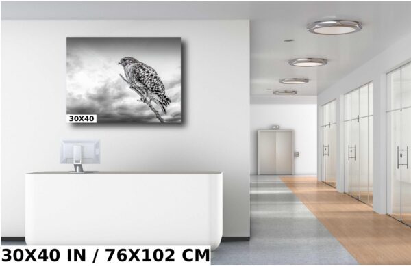 A black and white photo of a bird on the wall