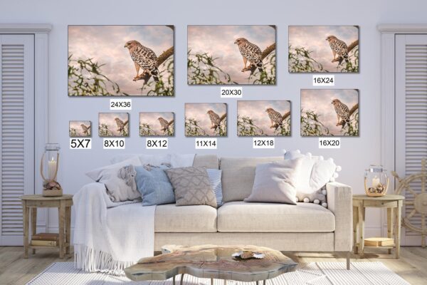 A couch with many different pictures of birds on it