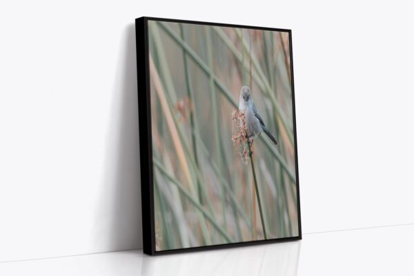 A bird sitting on top of some tall grass.