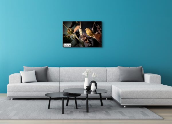 A living room with blue walls and white furniture.