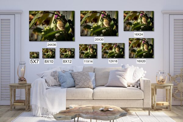 A couch with many different sizes of pictures on it