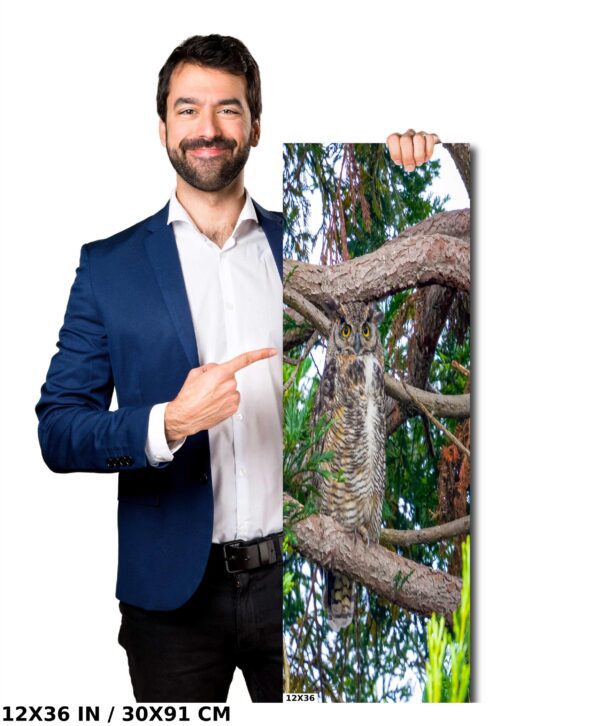 A man in a suit pointing to a tree