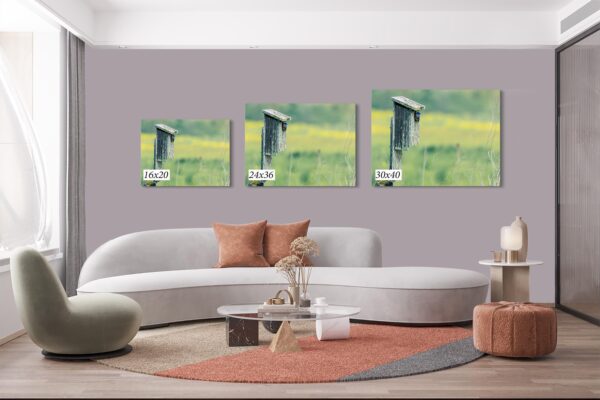 A living room with three pictures on the wall