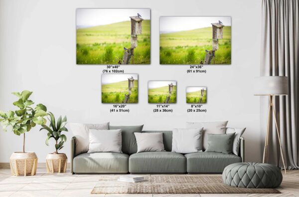 A couch with pillows and two pictures on it