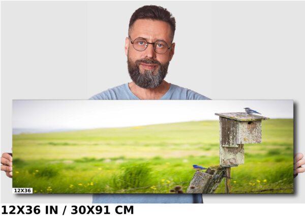 A man with glasses and beard standing next to a field.
