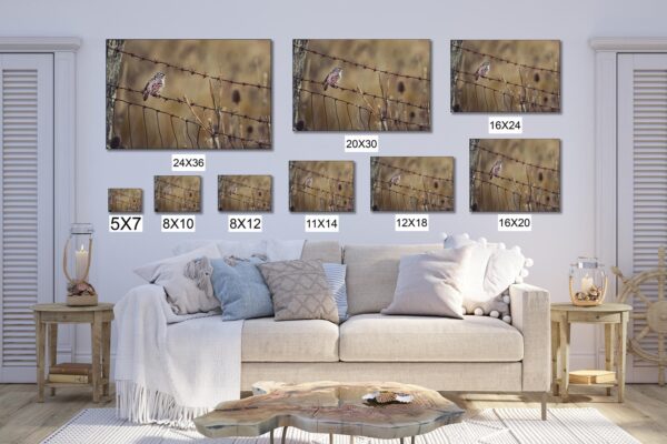 A living room with many different sizes of pictures on the wall.