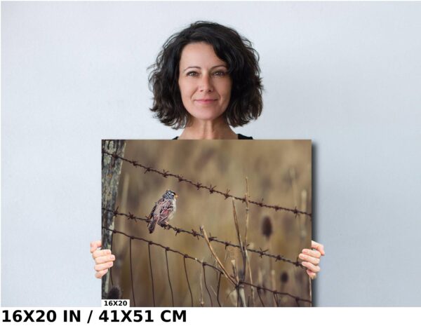 A woman holding up a picture of a bird on barbed wire.