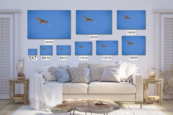 A living room with a couch and many pictures on the wall