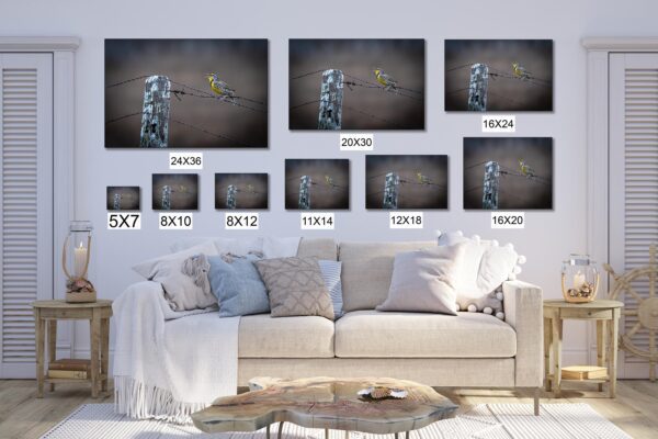 A living room with a couch and several pictures on the wall