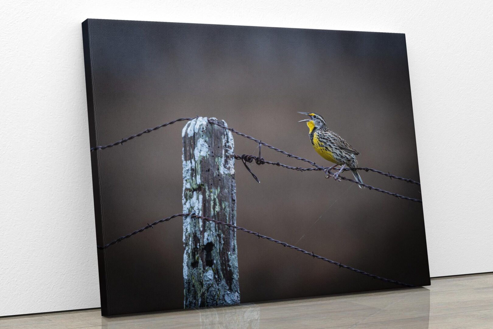 A bird sitting on top of a wire fence.