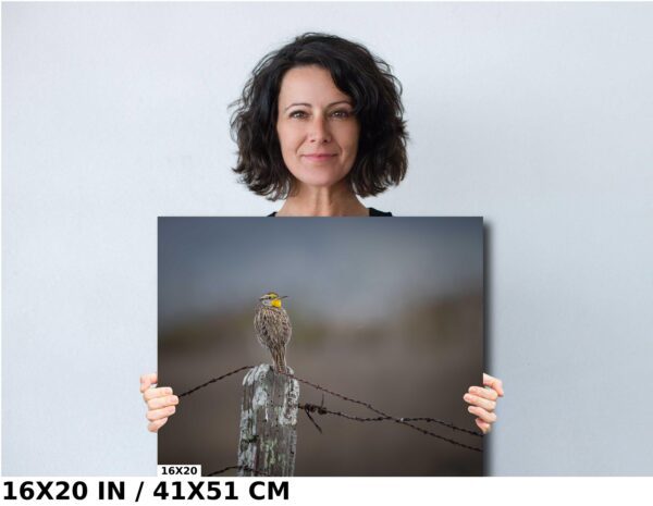 A woman holding up a picture of a bird on a wire.