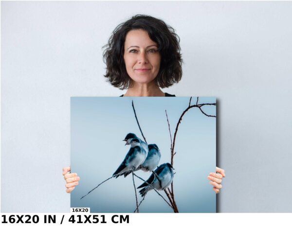 A woman holding up a picture of two birds.