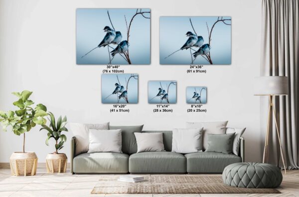 A couch with pillows and two birds on it