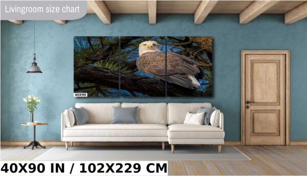 A bald eagle sitting on the branch of a tree.