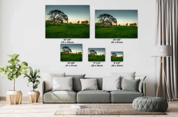 A couch with pillows and a wall hanging of trees