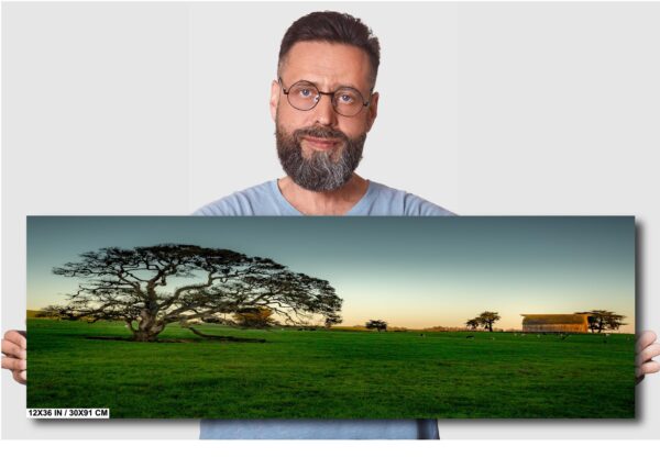 A man is standing in front of a picture of a tree.