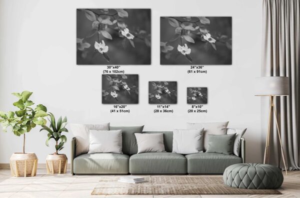 A living room with couch and pillows and many pictures