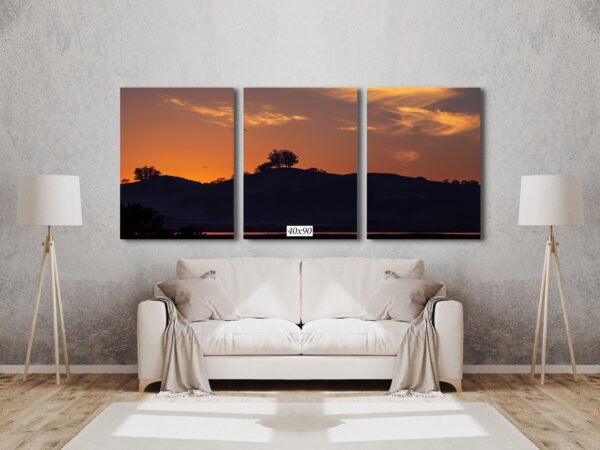 A couch and a wall with three pictures on it