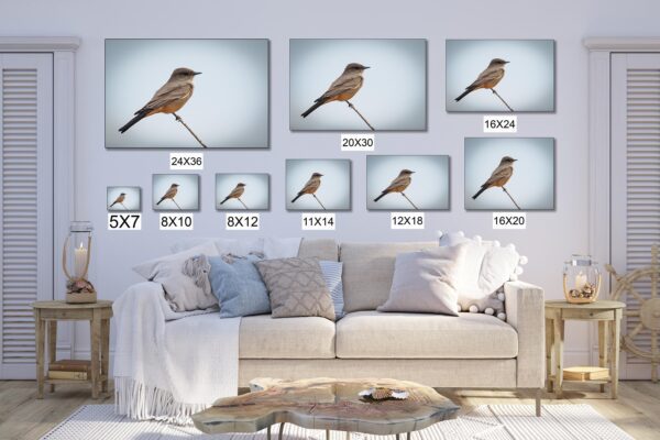 A couch with many different pictures of birds on it
