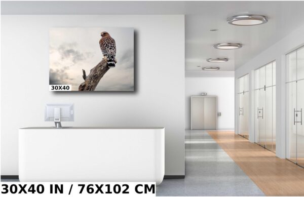 A large picture of an owl sitting on top of a tree.