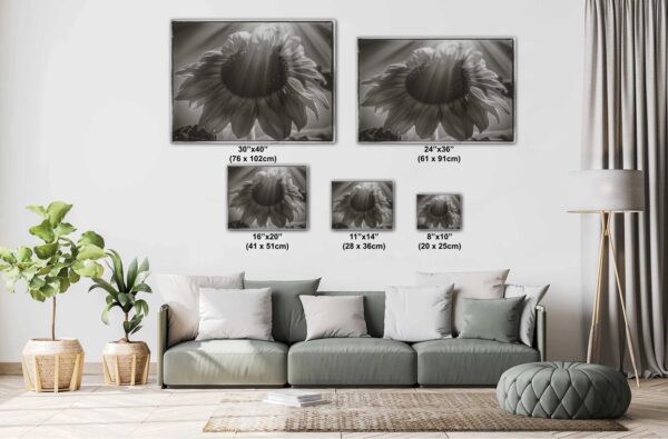 A living room with couches and pillows and a large flower.