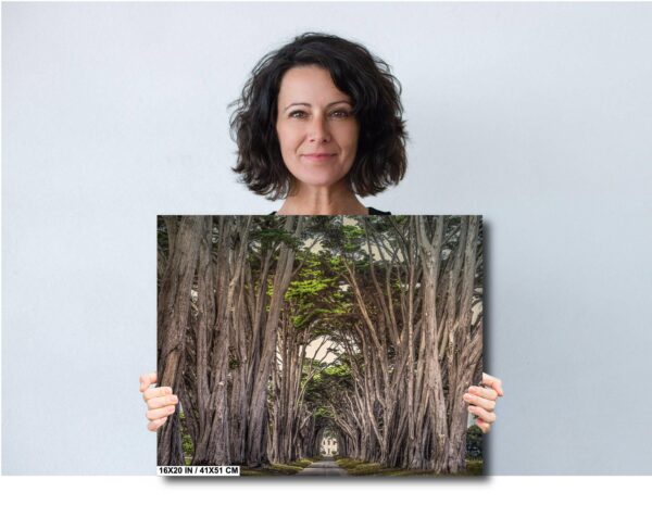 A woman holding up a picture of trees