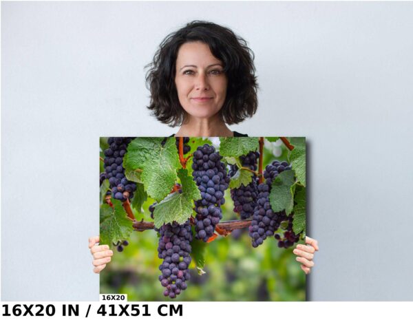 A woman holding up a picture of grapes.