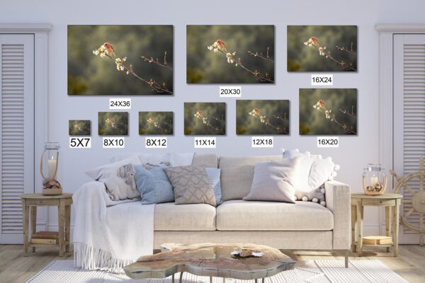 A couch with many sizes of pictures on it