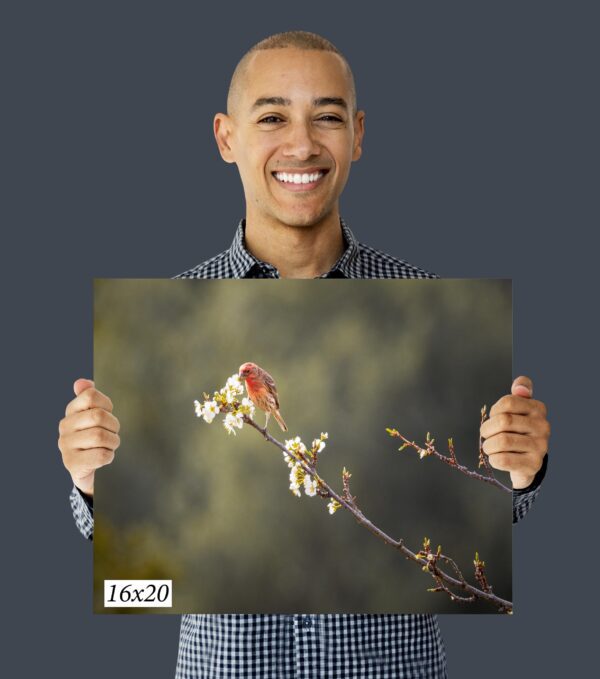 A man holding up a picture of flowers.