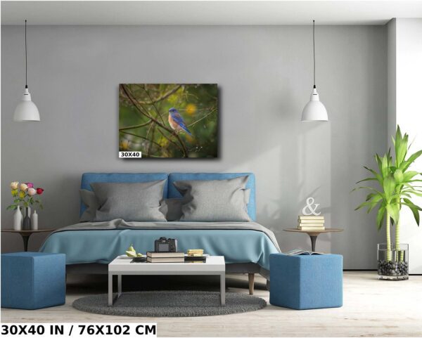 A blue bird sitting on the tree branch.