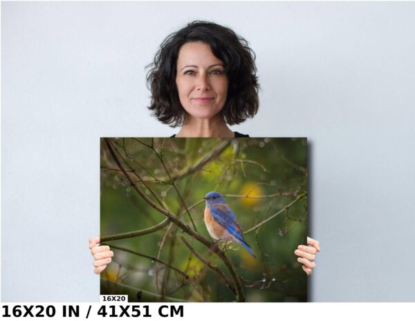 A woman holding up a picture of a bird.