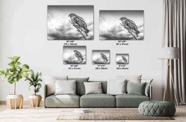 A couch with pillows and a picture of a bird.