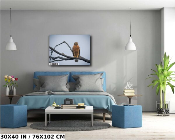 A bedroom with a blue bed and a bird on the tree