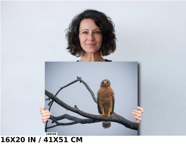 A woman holding up an image of a bird on a branch.