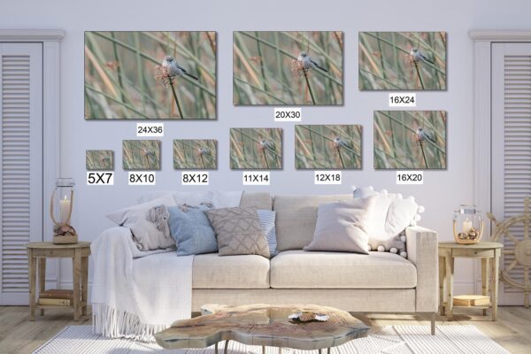 A living room with many different sizes of pictures on the wall.