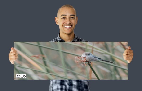 A man smiling and holding up an image of a bug.
