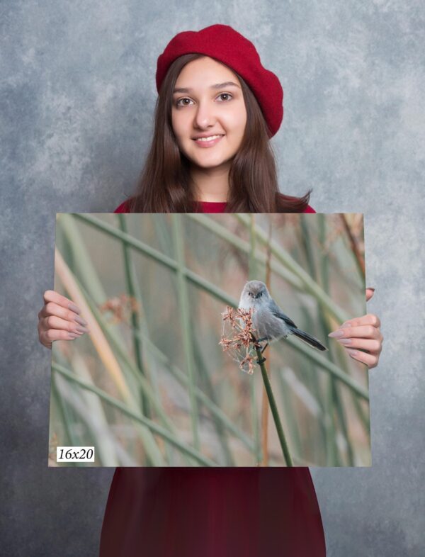 A girl holding up a picture of a bird.