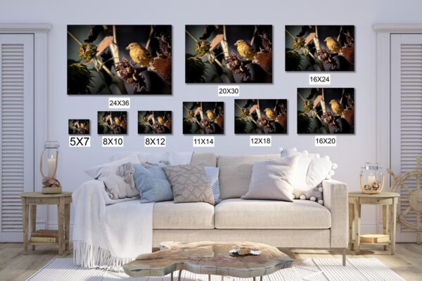 A couch with many different sizes of paintings on it