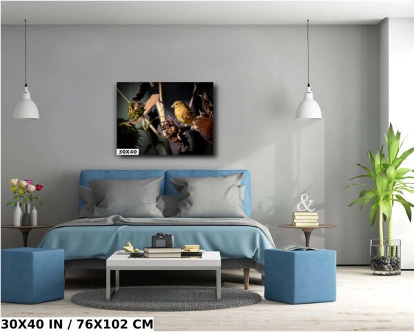 A bedroom with a blue bed and gray walls