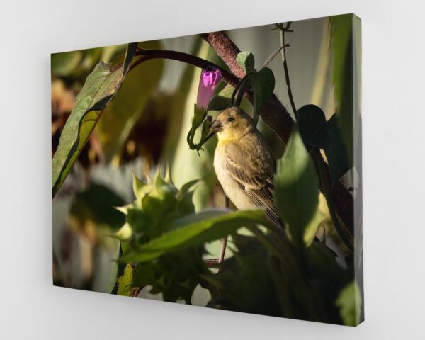 A bird sitting on top of a tree branch.