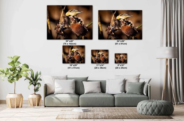 A couch with pillows and two pictures on it