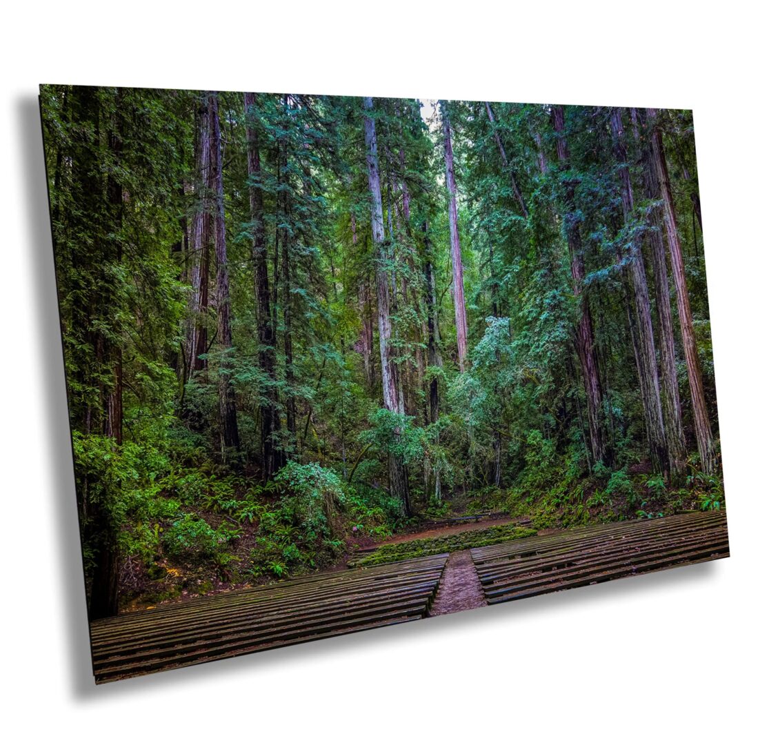 View of a wooden amphitheater in Armstrong Redwoods State Natural Reserve, surrounded by towering redwoods and lush green forest in Sonoma County.