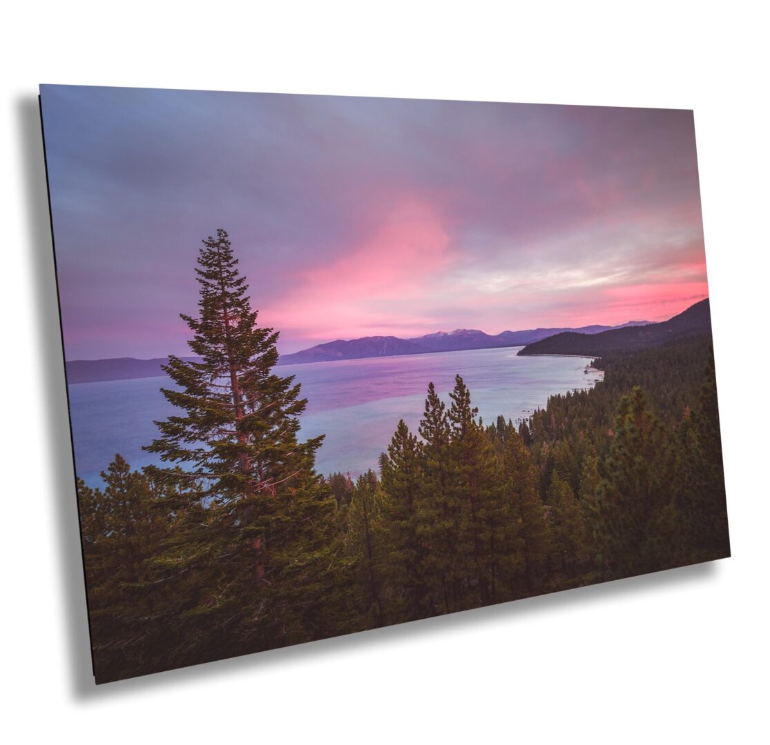 A view of the ocean and trees at sunset.