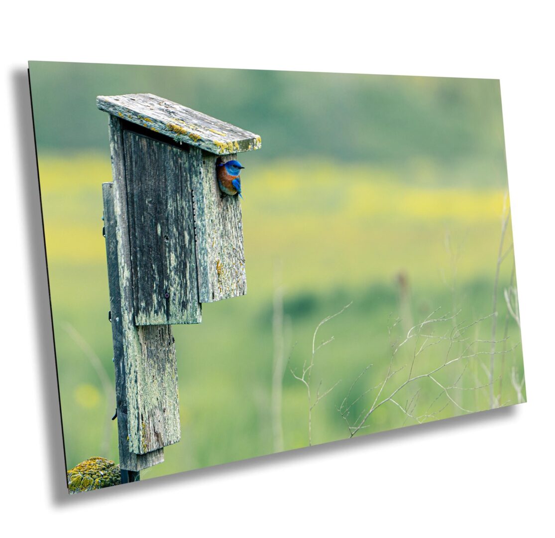 A wooden birdhouse sitting in the middle of a field.