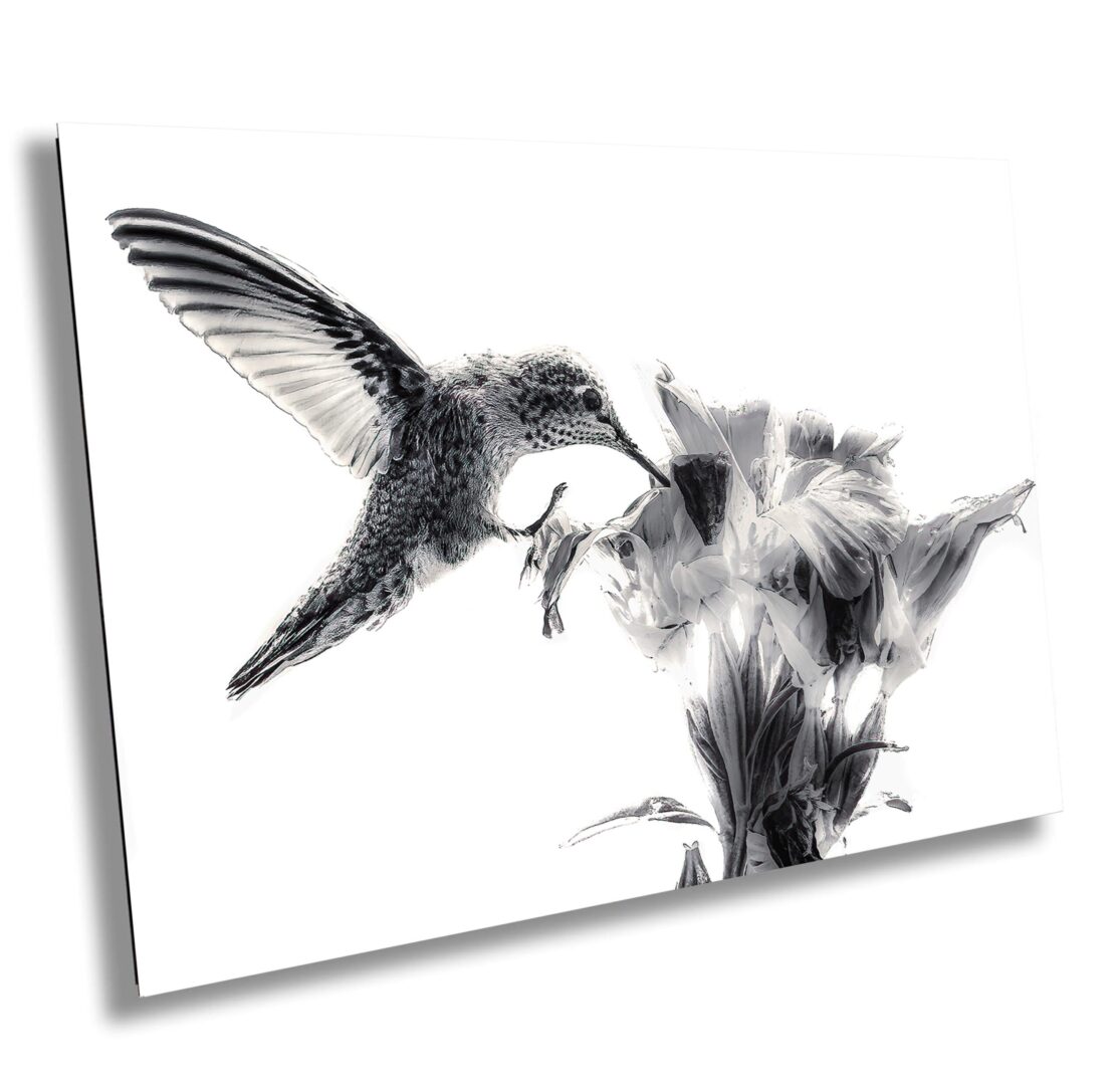 A hummingbird is flying over the flower.