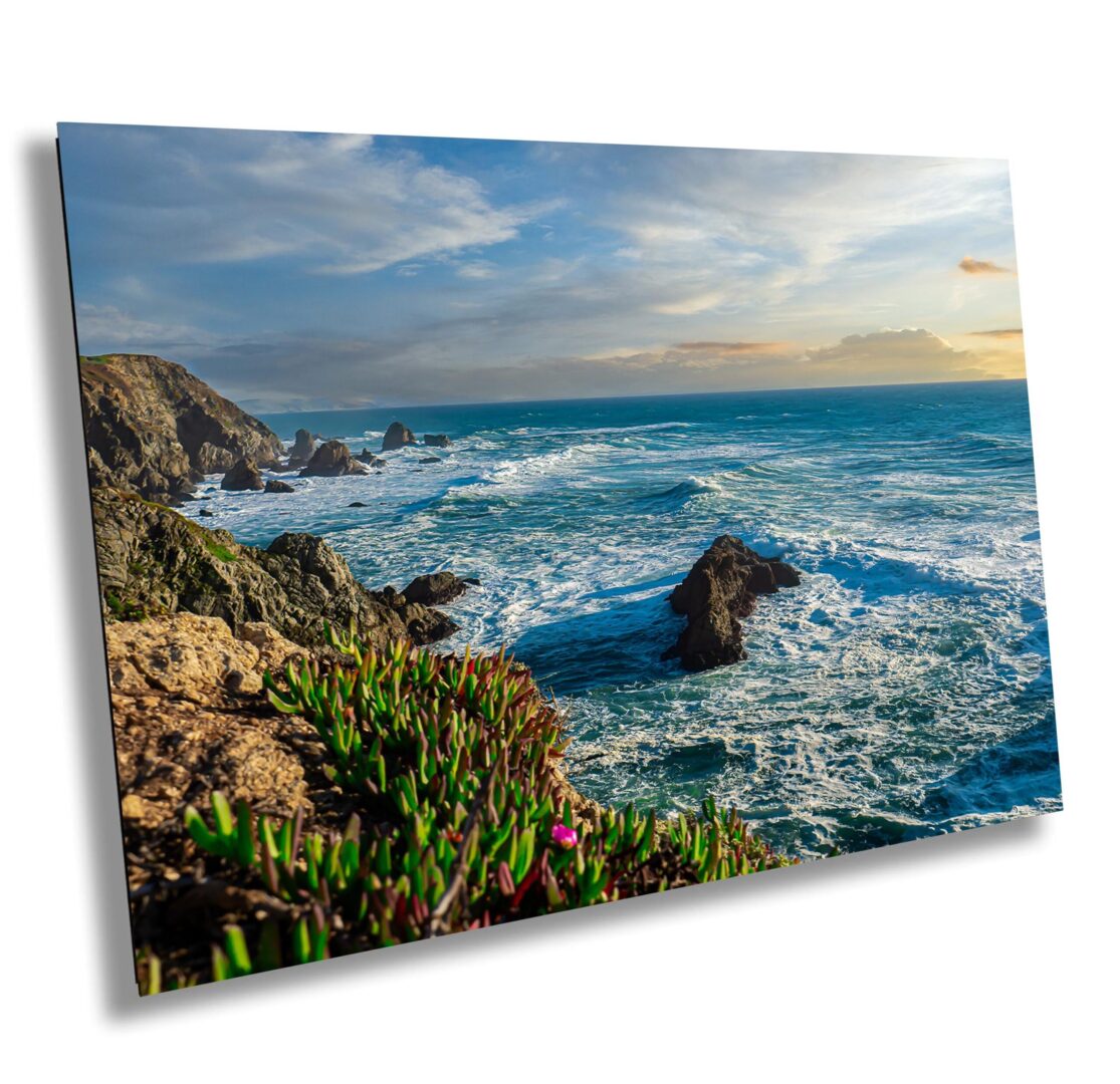 A picture of the ocean with rocks and plants.