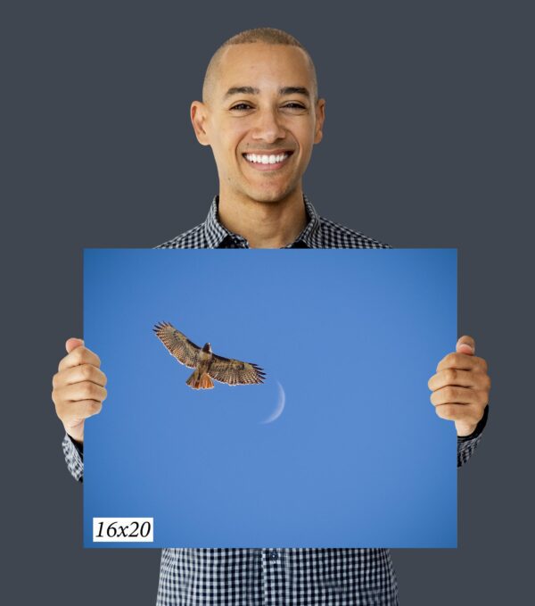 A man holding up a picture of an owl.